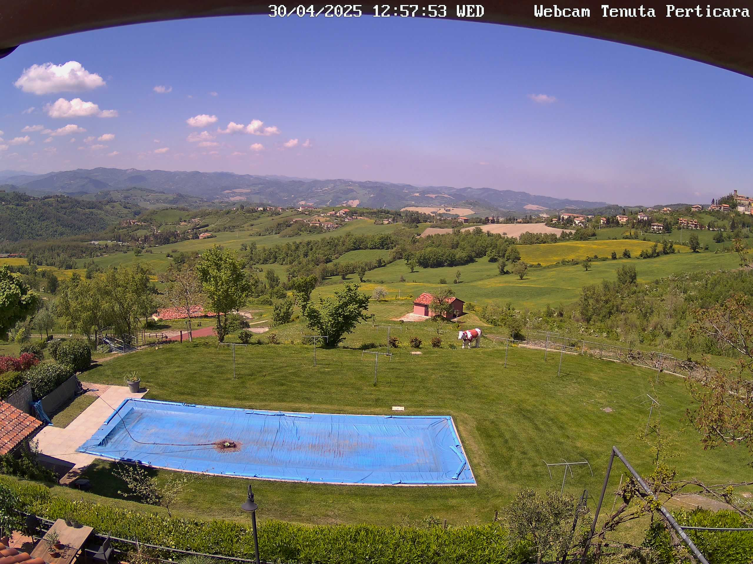 Webcam Tenuta Perticara